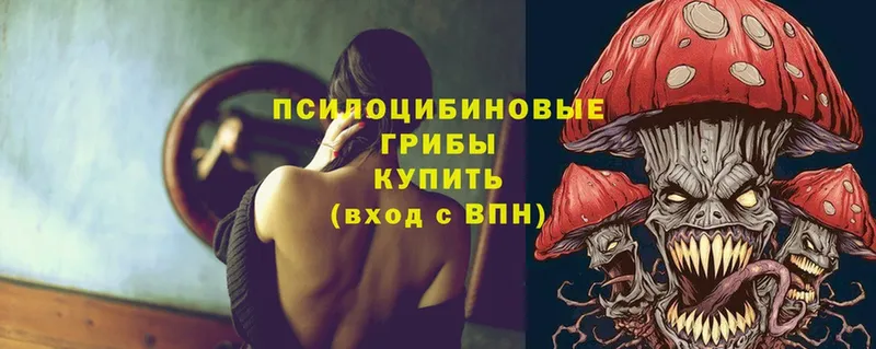 Псилоцибиновые грибы Psilocybe Новосиль